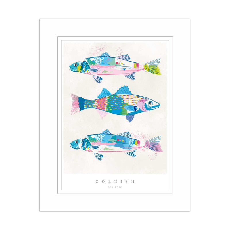 Mounted Print - WF718M - Cornish Sea Bass Medium Mounted Print - Cornish Sea Bass Medium Mounted Print- Whistlefish