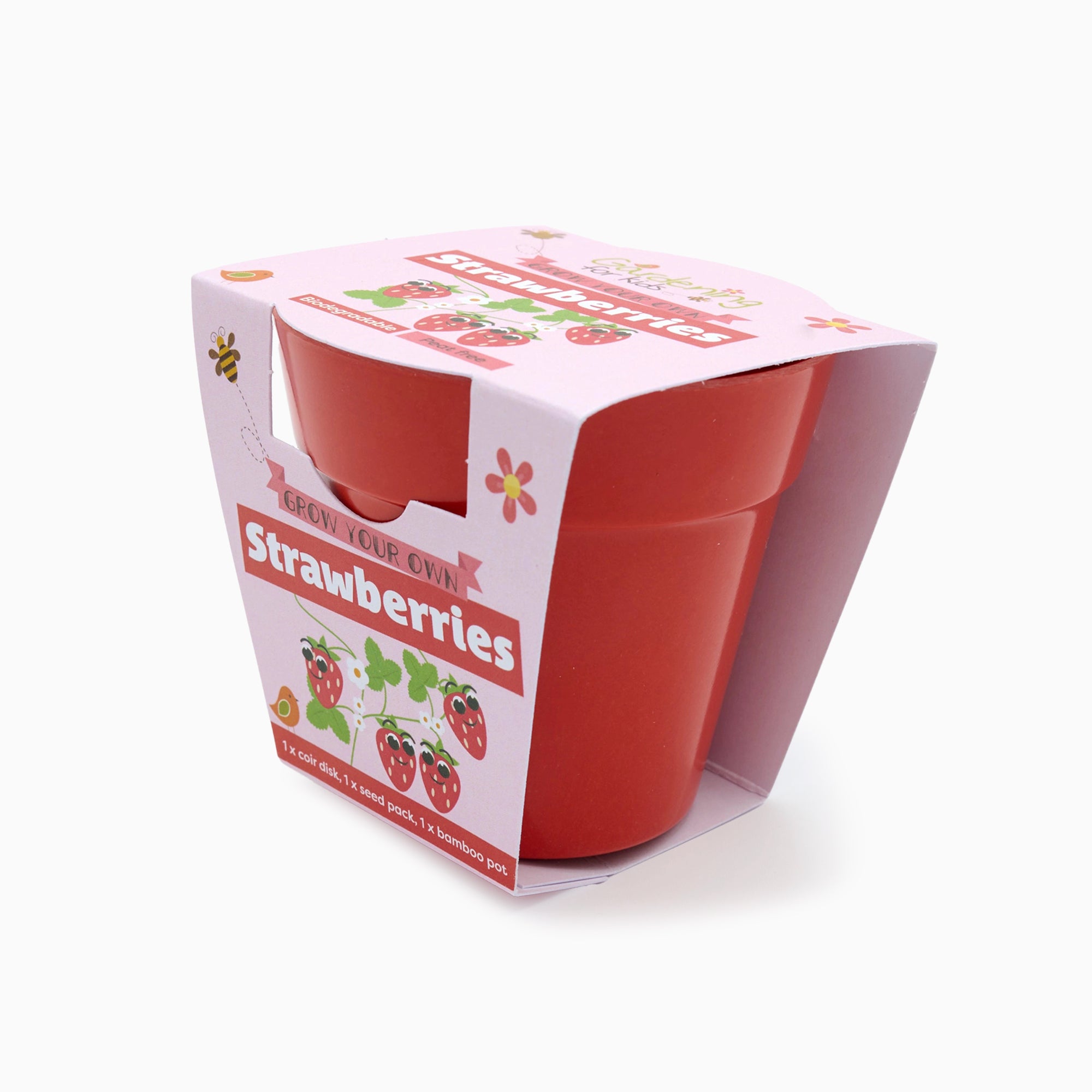 Grow Your Own Kit-OBstrawberries - Strawberries Growing Kit-Gardening for Kids