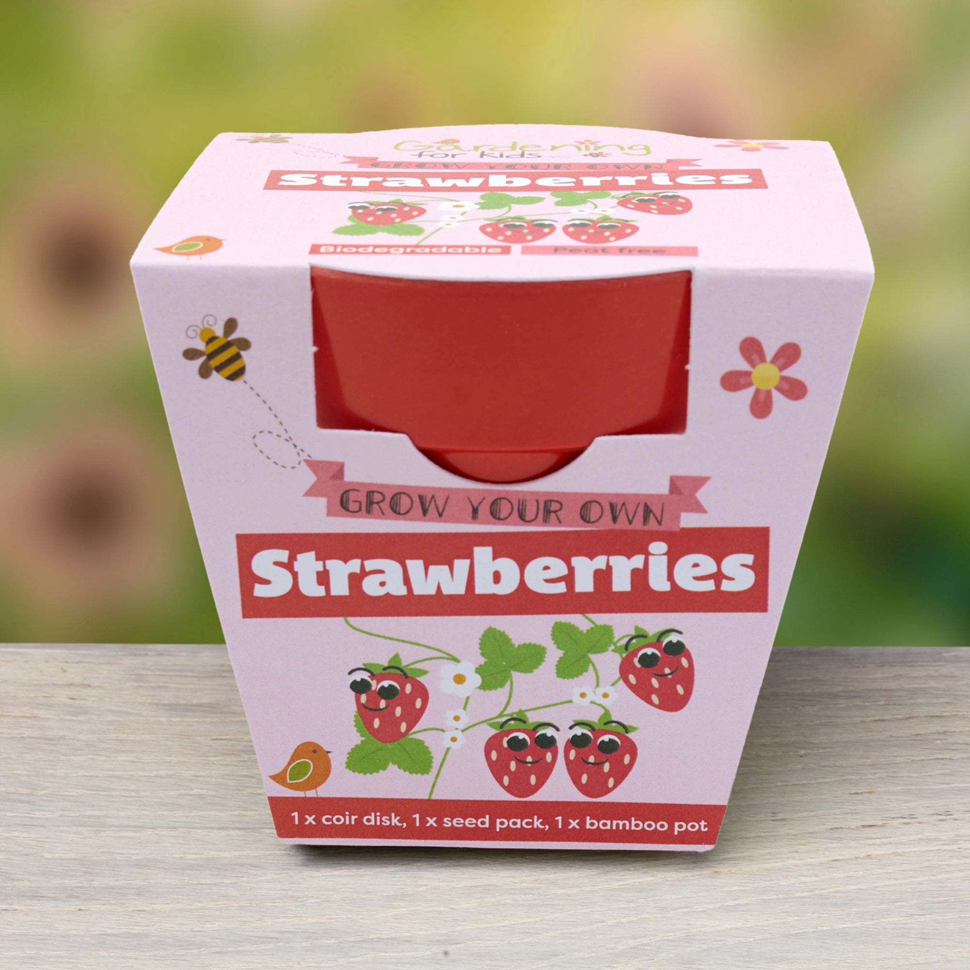 Grow Your Own Kit-OBstrawberries - Strawberries Growing Kit-Gardening for Kids