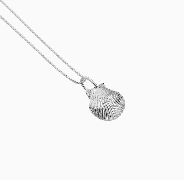Necklace-P3446A - Scallop Shell Silver Necklace-Sea Gems