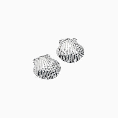 Scallop Shell Silver Stud Earrings - Whistlefish