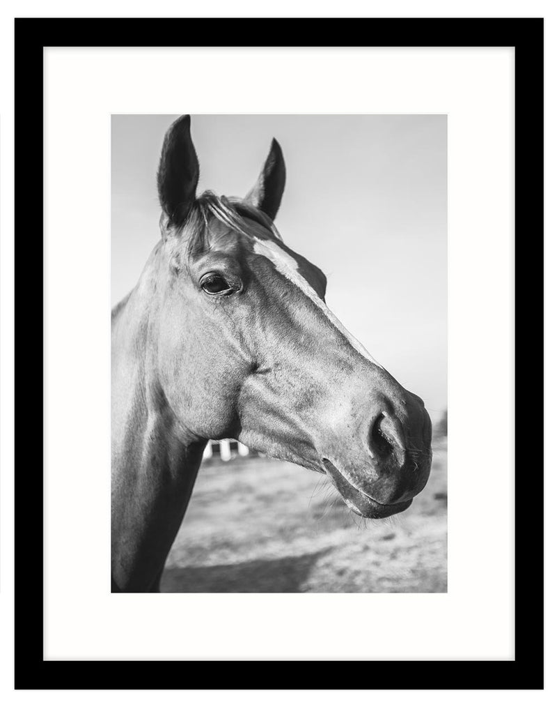 Picture Frame-AF12F - Black A3 Frame-Whistlefish