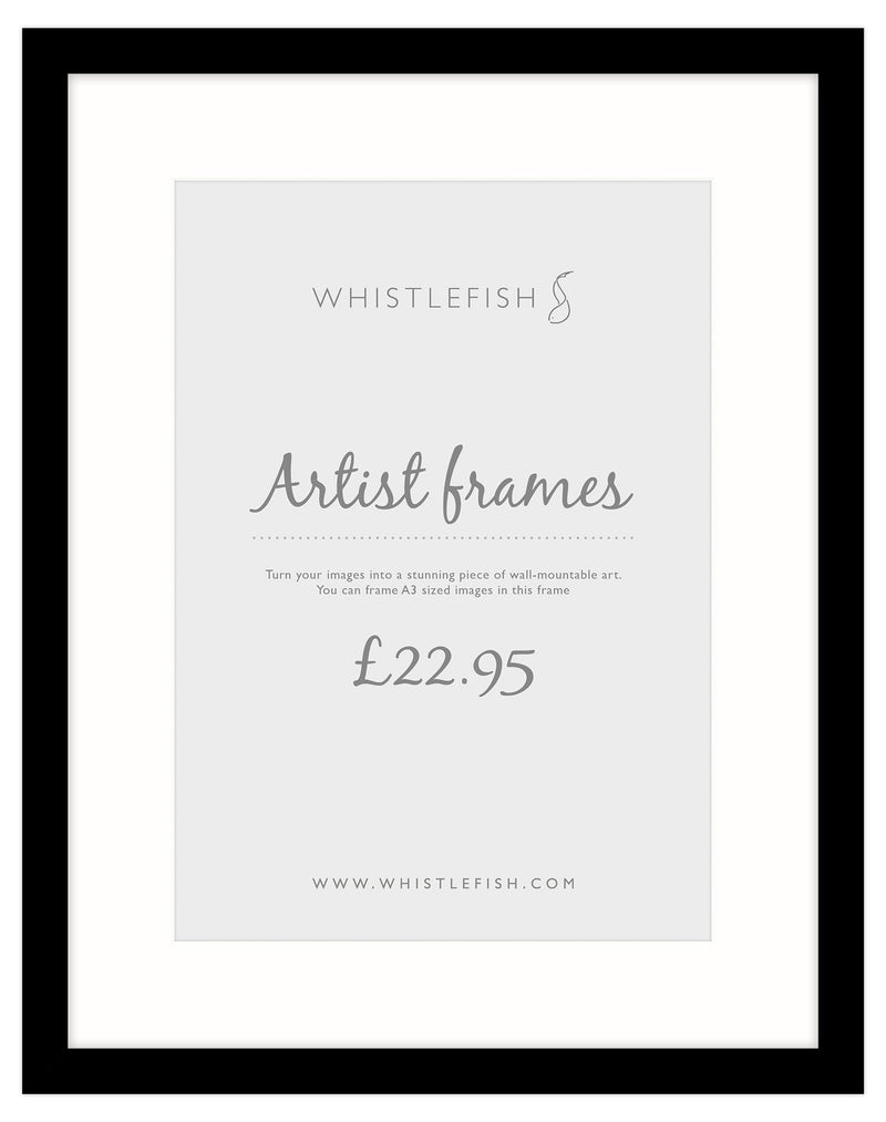 Picture Frame-AF12F - Black A3 Frame-Whistlefish