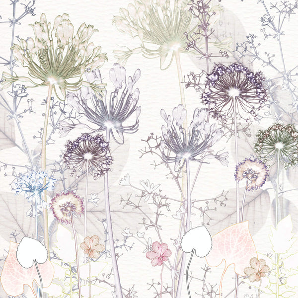 Print-AR09P - Delicate Agapanthus Art Print-Whistlefish