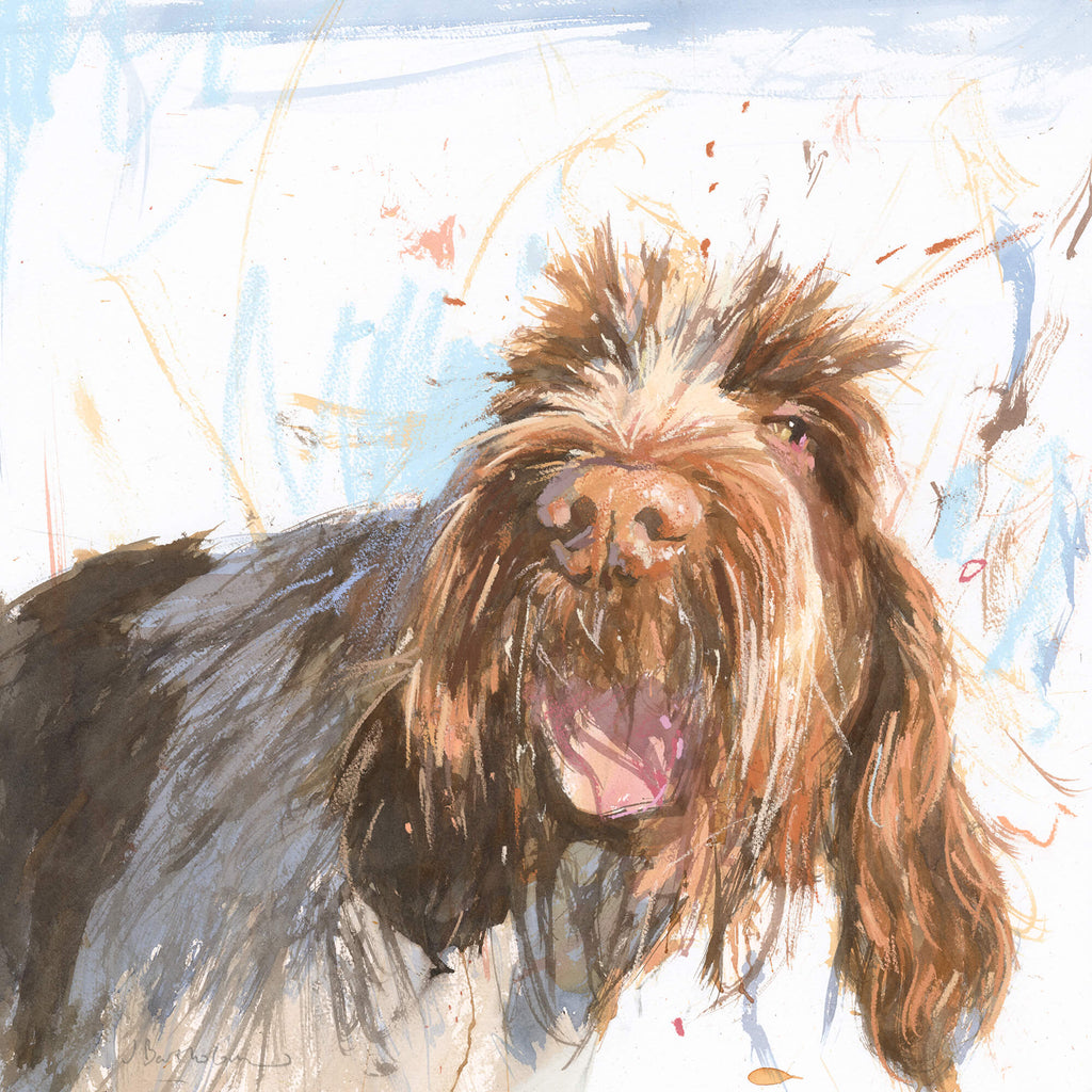 Print-BART100P - Spinone Art Print-Whistlefish