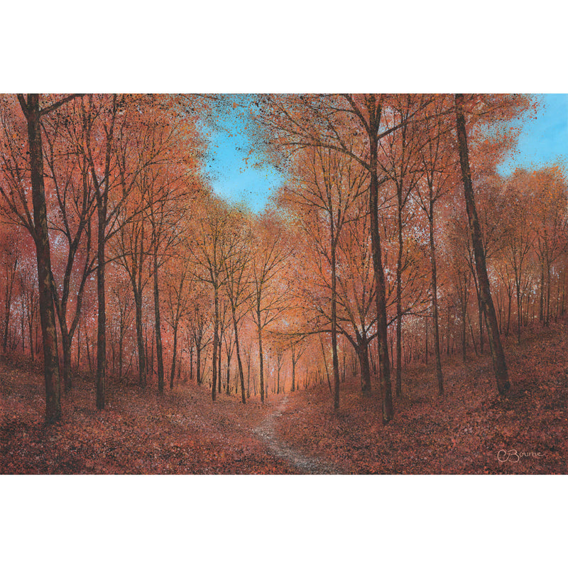 Print-CBO13P - Path Into the Light Art Print-Whistlefish