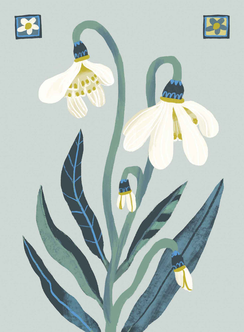 Print-CHU05P - Snowdrops Botanical Medium Print-Whistlefish