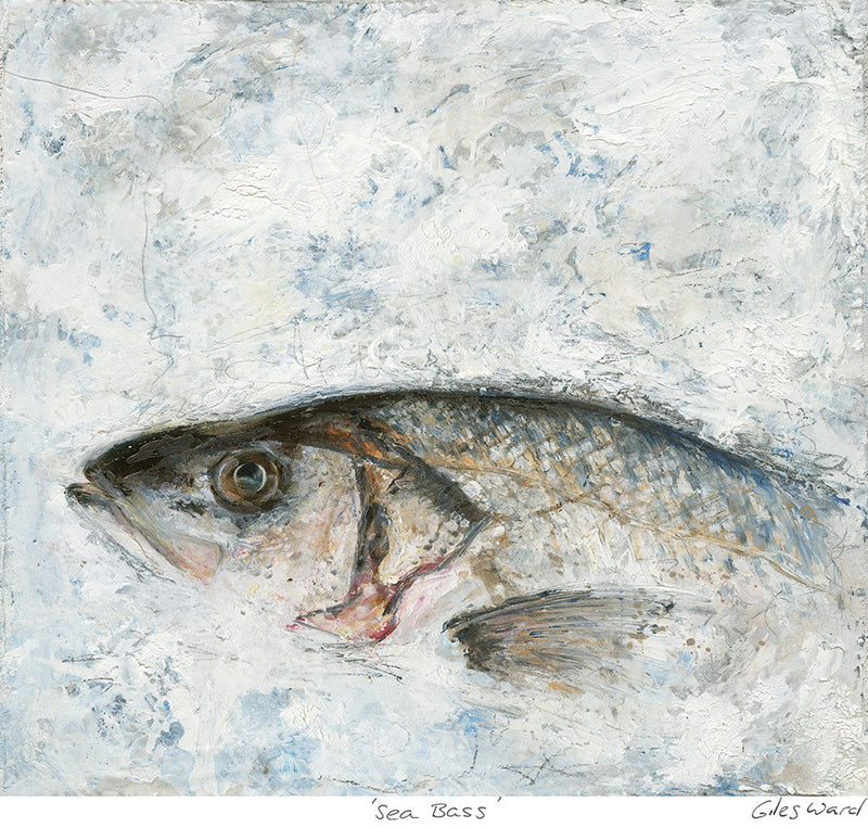 Print-GW05P - Sea Bass Art Print-Whistlefish
