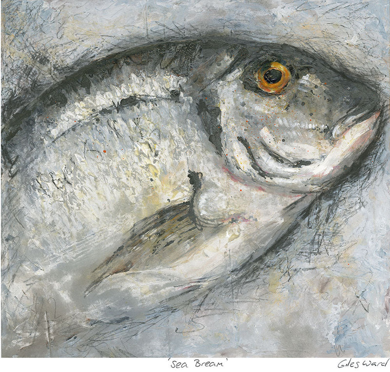 Print-GW06P - Sea Bream Art Print-Whistlefish