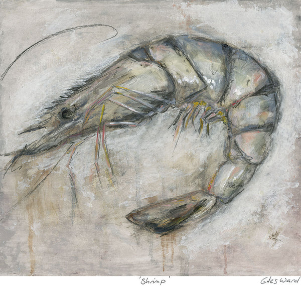 Print-GW07P - Shrimp Art Print-Whistlefish
