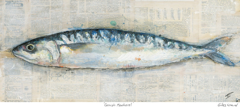 Print-GW23P - Cornish Mackerel Art Print-Whistlefish