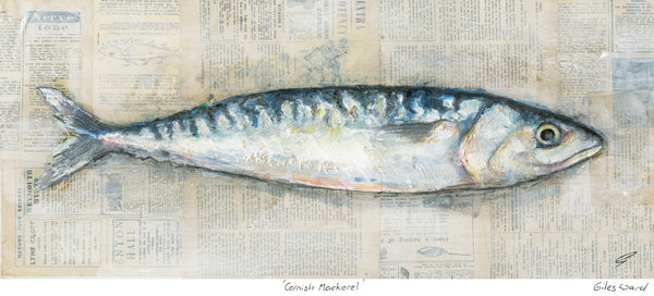 Print-GW24P - Cornish Mackerel 2 Art Print-Whistlefish