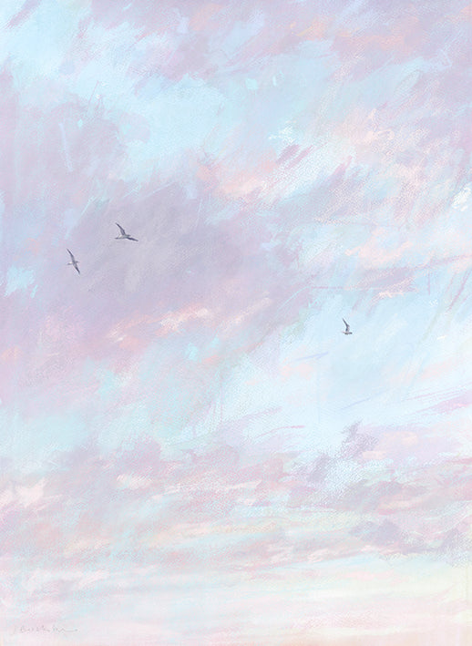 Print-BART115P - High Gulls, Pink Clouds Art Print-Whistlefish