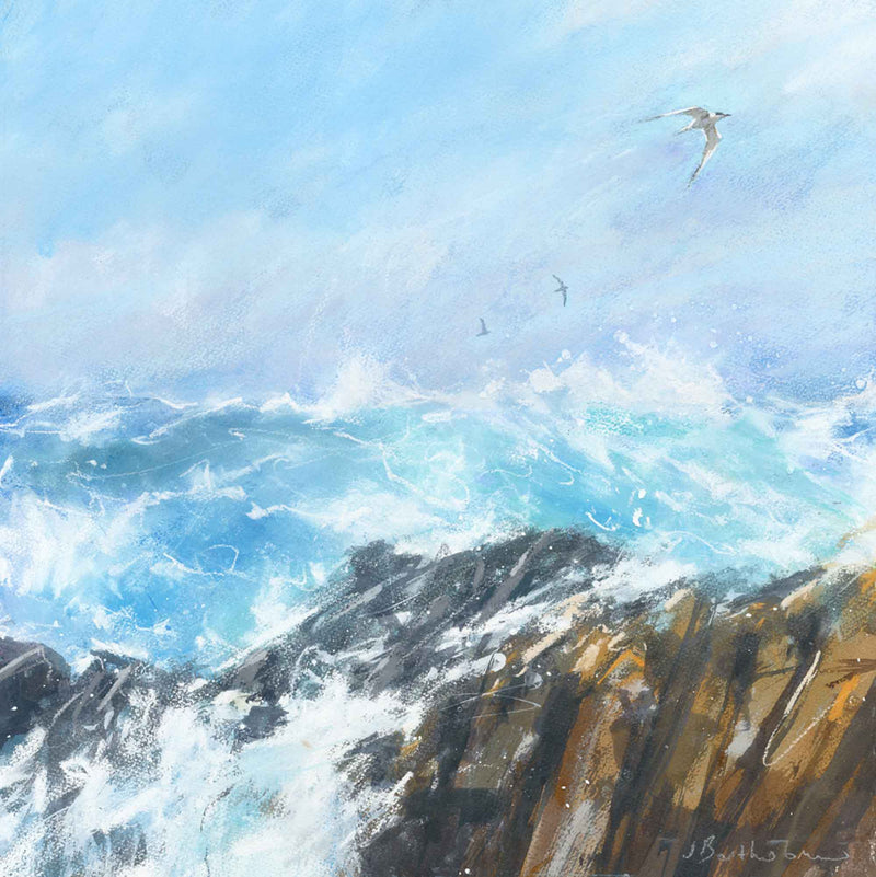 Print-BART128P - Seabird over rocks-Whistlefish