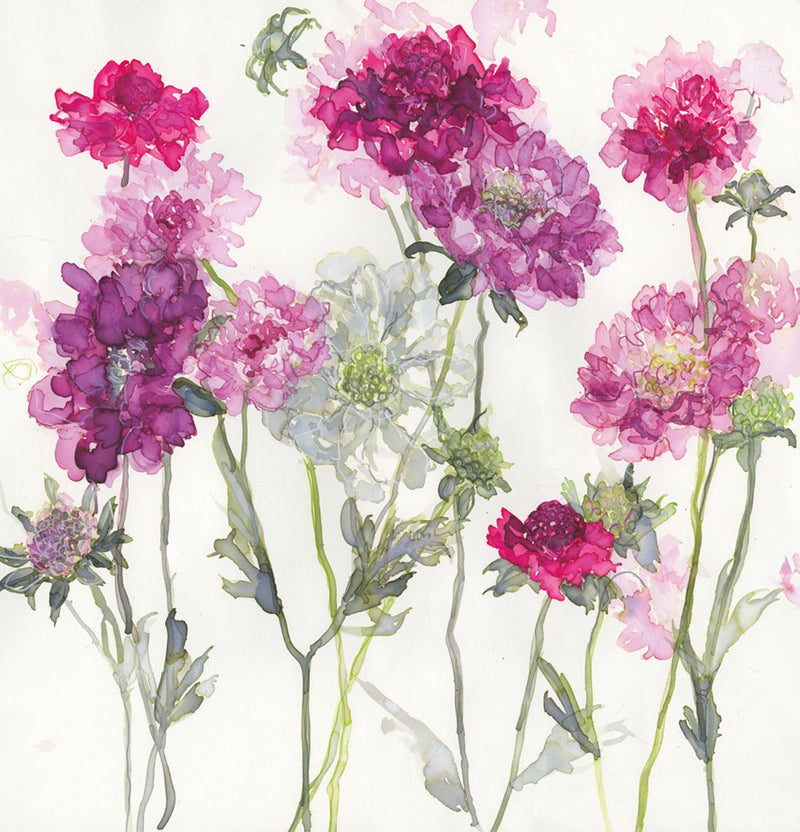 Print-JT26P - Mixed Scabious-Whistlefish