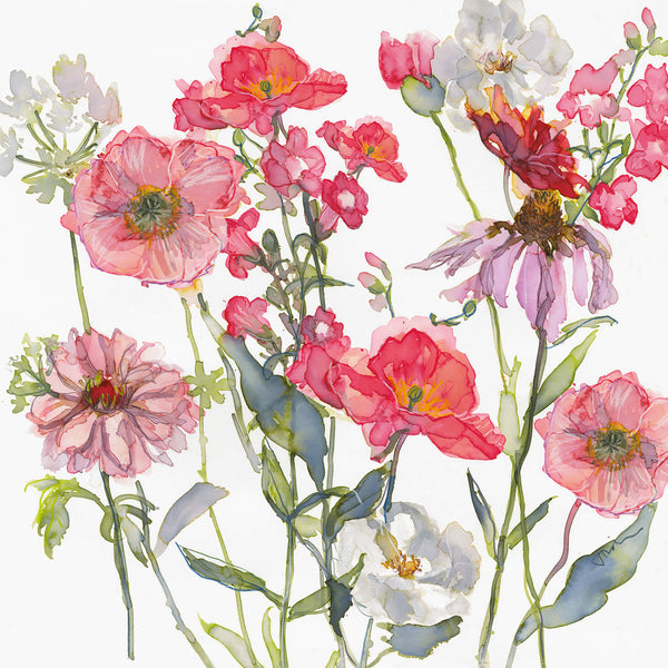 Print-JT46P - Dahlia, Pensleman & Echinacea Art Print-Whistlefish