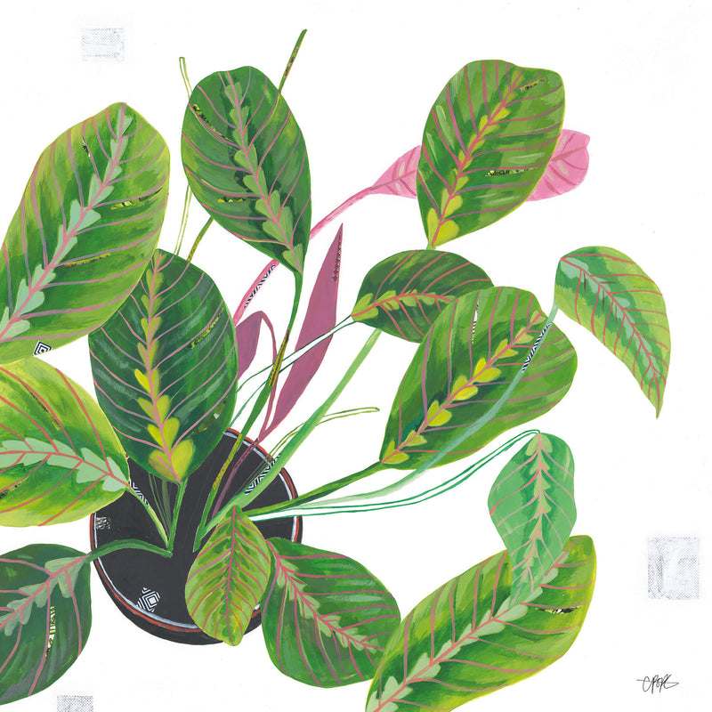 Print-LP175P - Prayer Plant-Whistlefish