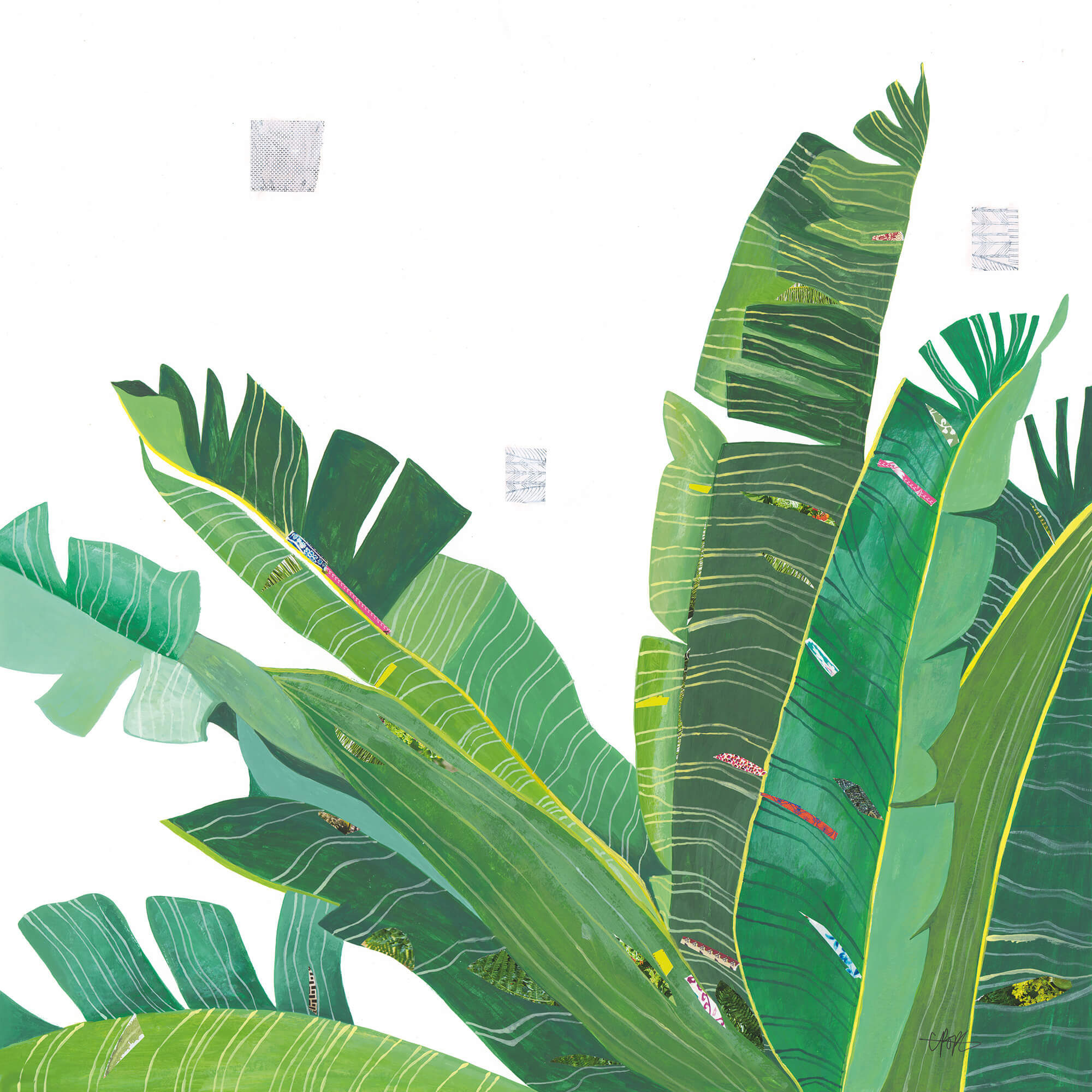 Print-LP176P - Varigated Greens Art Print-Whistlefish