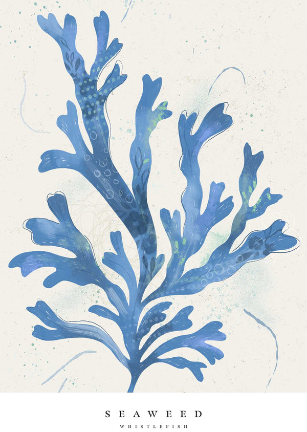 Print-WF1022P - Seagrass Seaweed Large Art Print-Whistlefish