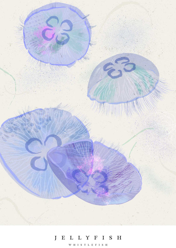 Print-WF1024P - Seagrass Jellyfish Large Art Print-Whistlefish