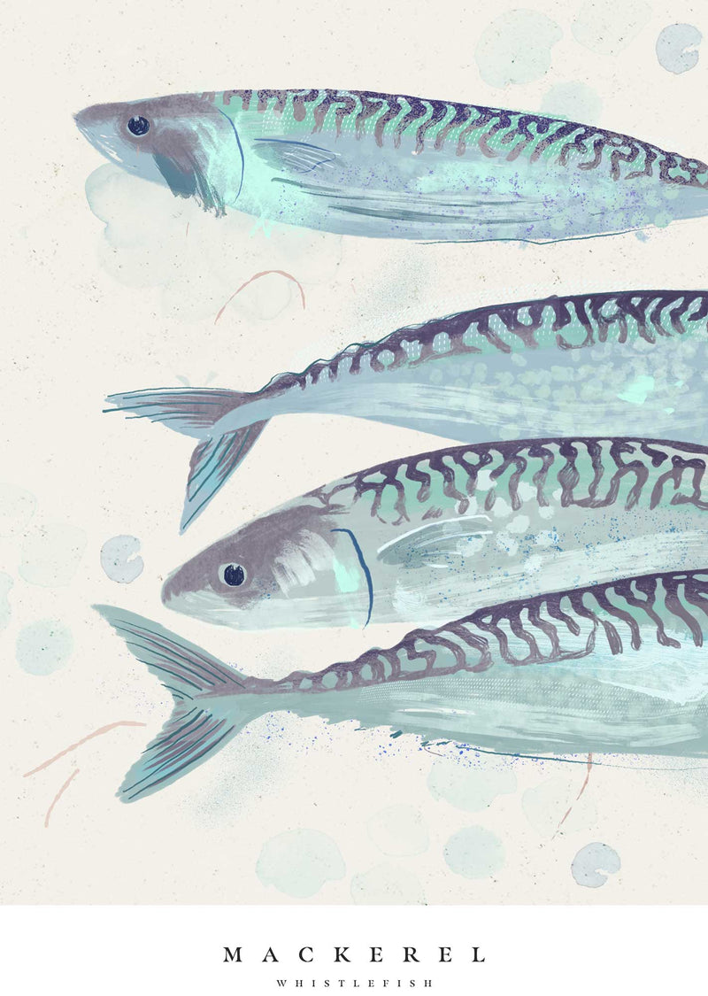 Print-WF1027P - Seagrass Mackrel Large Art Print-Whistlefish