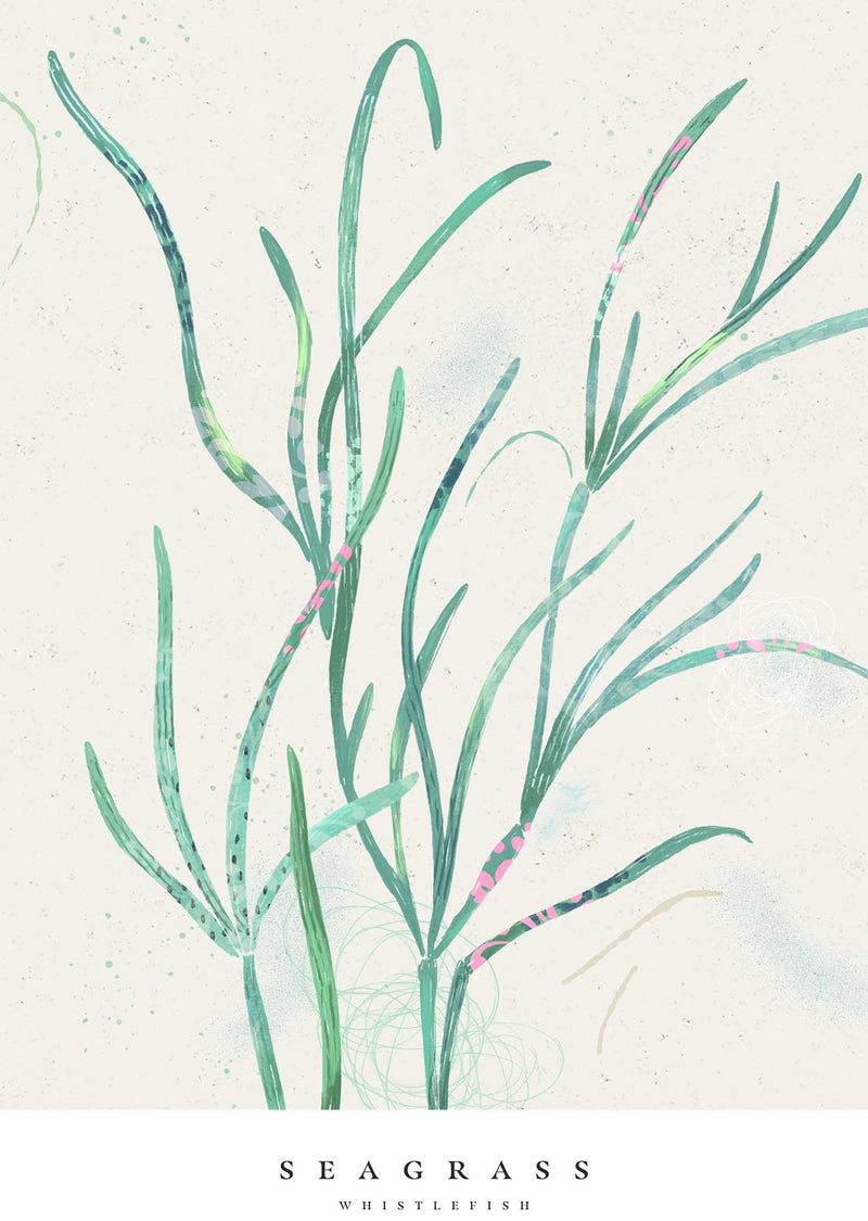 Print-WF1033P - Seagrass Small Art Print-Whistlefish