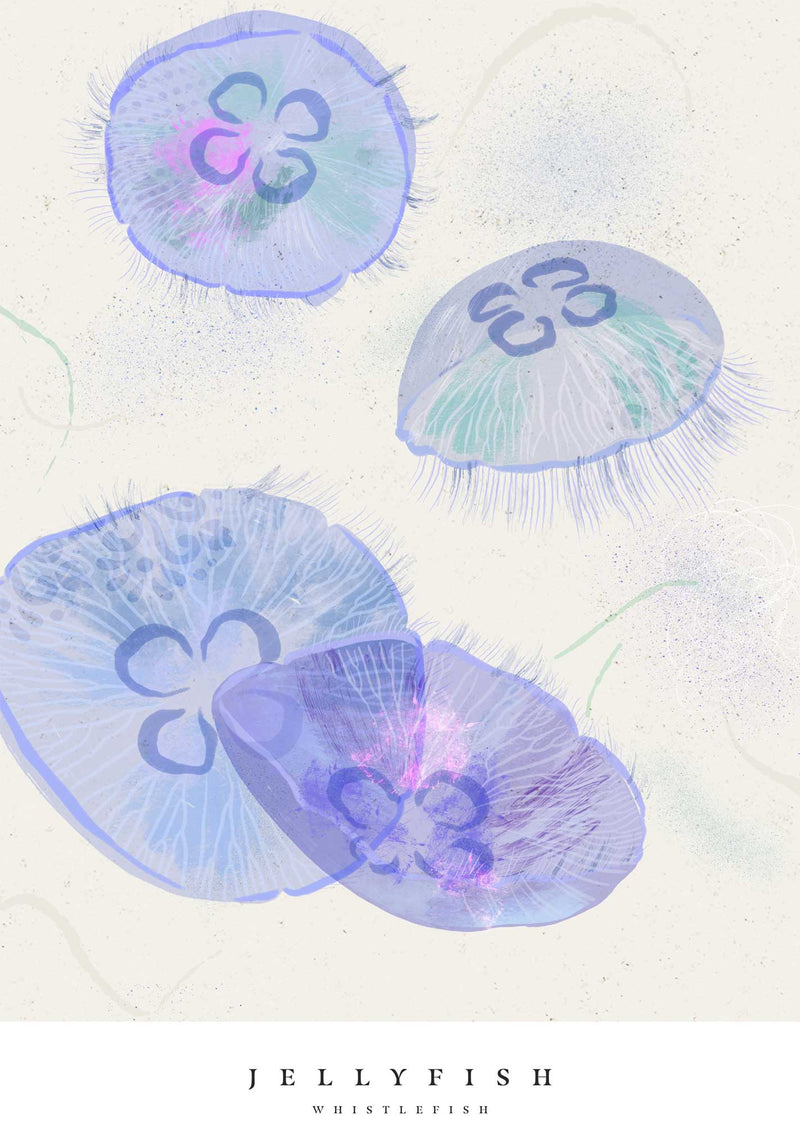 Print-WF1034P - Seagrass Jellyfish Small Art Print-Whistlefish