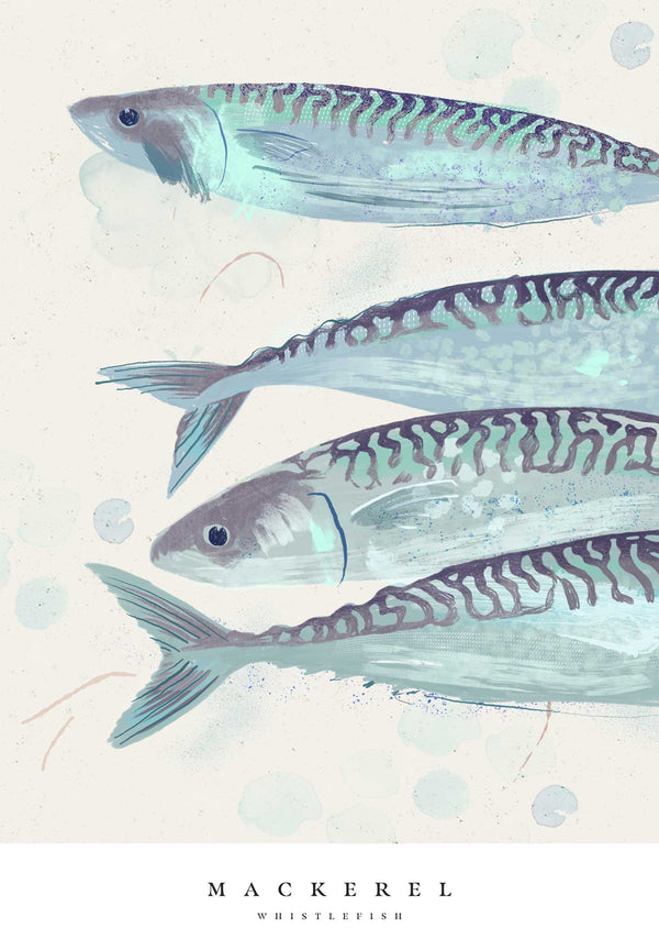 Print-WF1037P - Seagrass Mackrel Small Art Print-Whistlefish