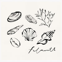 Print-WF1105P - Falmouth Shells Art Print-Whistlefish