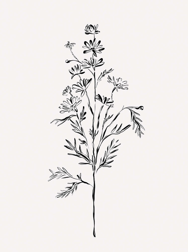 Print-WF1207P - Elegant Floral Art Print-Whistlefish