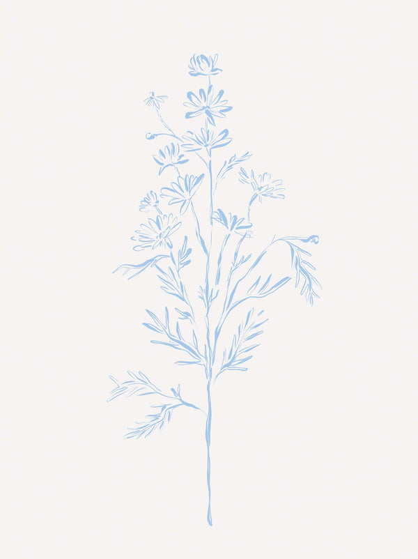 Print-WF1208P - Wildflower Stem Art Print-Whistlefish