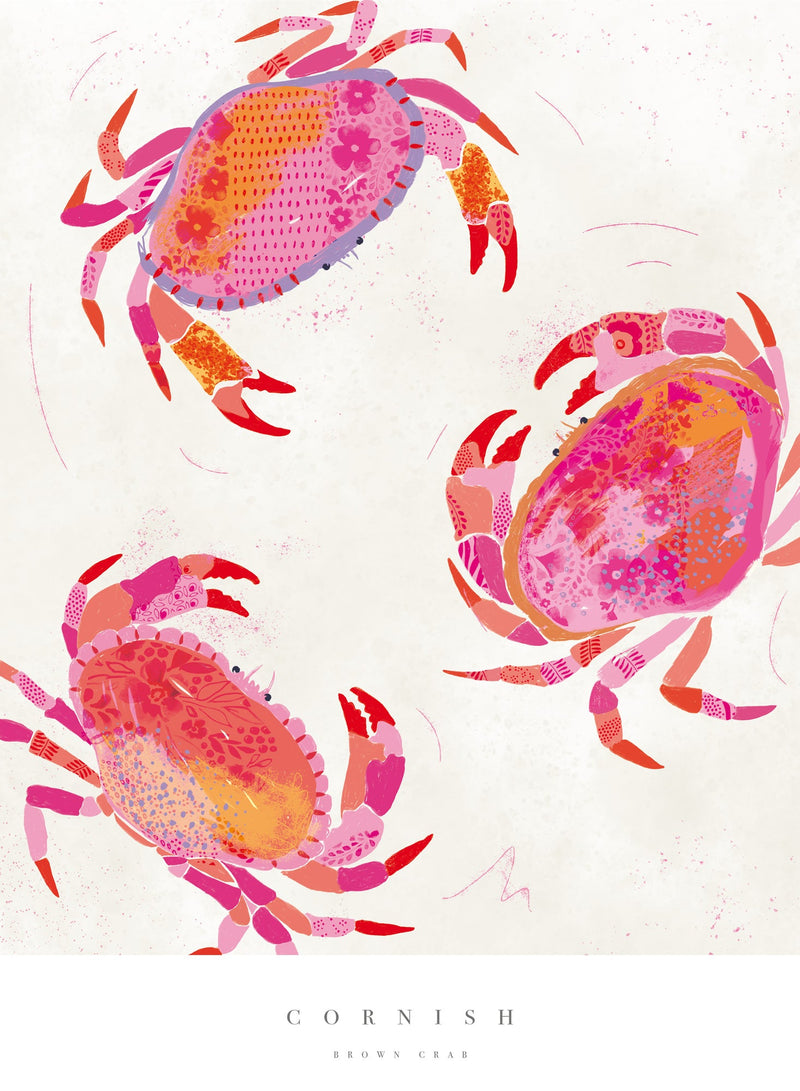 Print - WF619P - Cornish Crabs Poster Art Print - Cornish Crabs Large Art Print - Cornish Art - Whistlefish