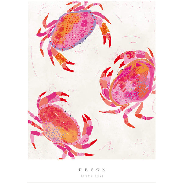 Print - WF716P - Devon Crabs Art Print - Devon Crabs Art Print - Coastal Art Prints - Whistlefish