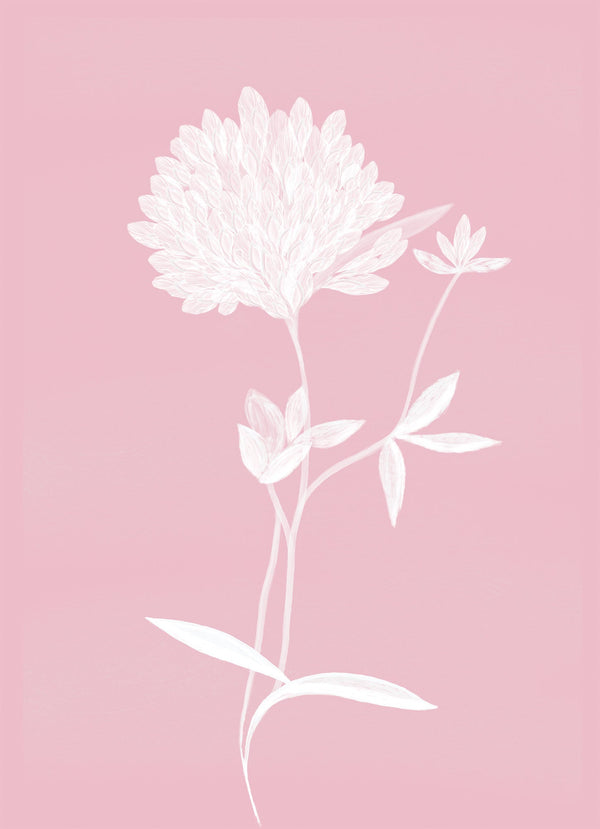 Print-WF918P - Pink Clover Small Framed Print-Whistlefish