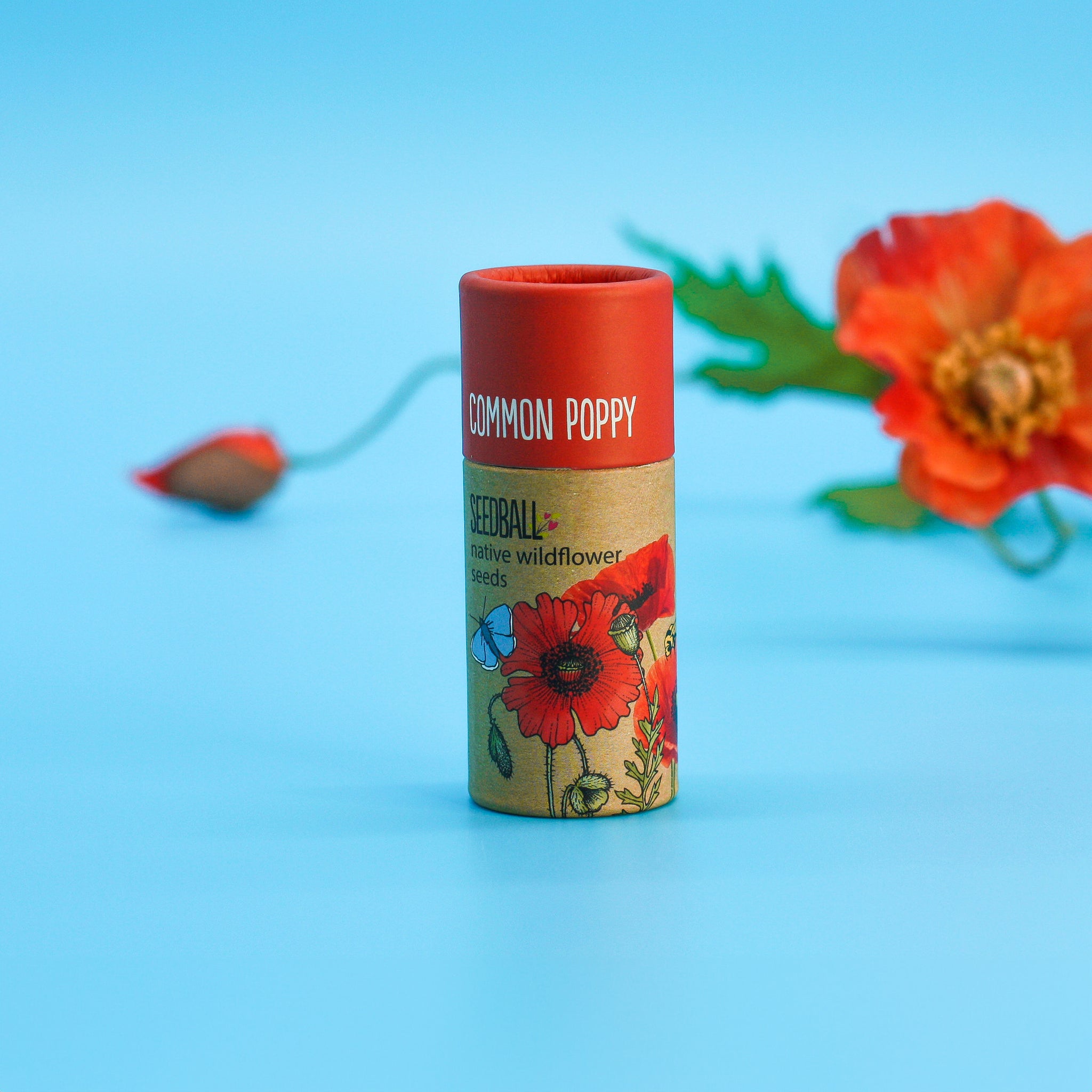 Seed Tube-SB-POPPY - Poppy Wildflower Seed Tube-Seedball