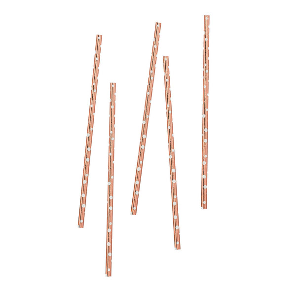 Straws - HBMM146 - Rose Gold Spotted Straws x 6 - (Spmo014)Rose Gold Spotted Straws - Whistlefish