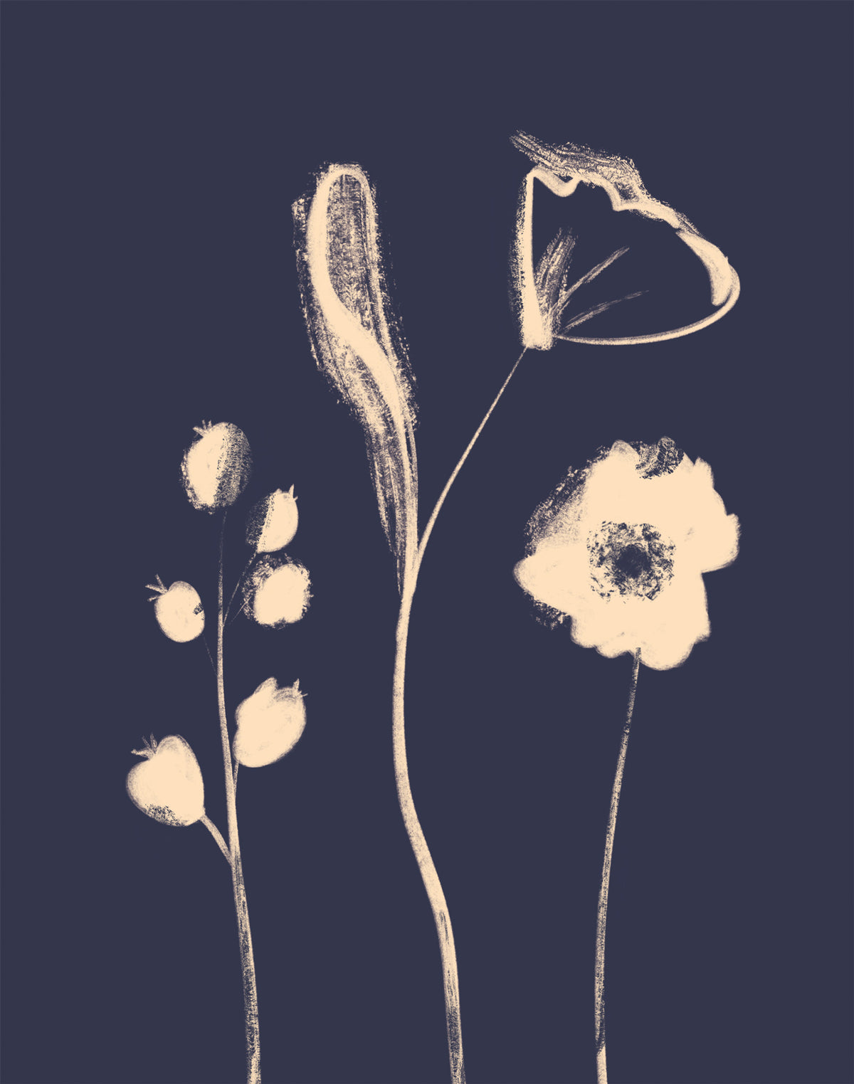 WF1398F - Midnight Blooms II Framed Print