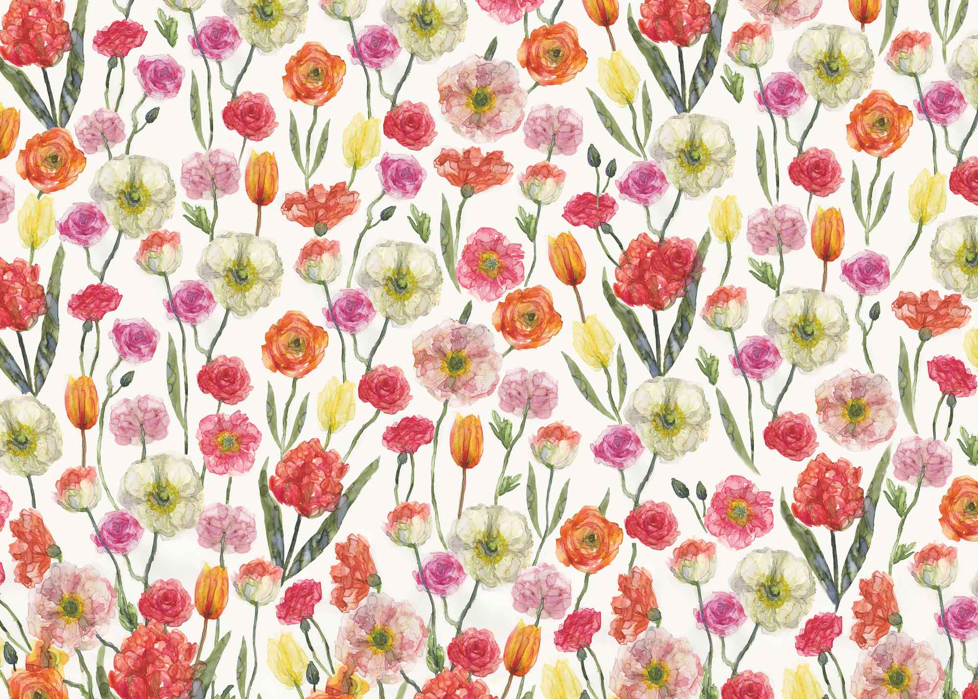 Wrapping Paper - GWP04 - Tulips Wrapping Paper - Tulips Wrapping Paper - Whistlefish