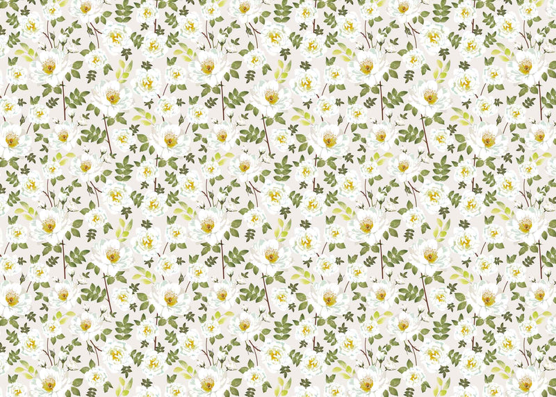 Wrapping Paper - GWP12 - Rambling Rose Wrapping Paper - Beige Rambling Rose Wrapping Paper - Whistlefish