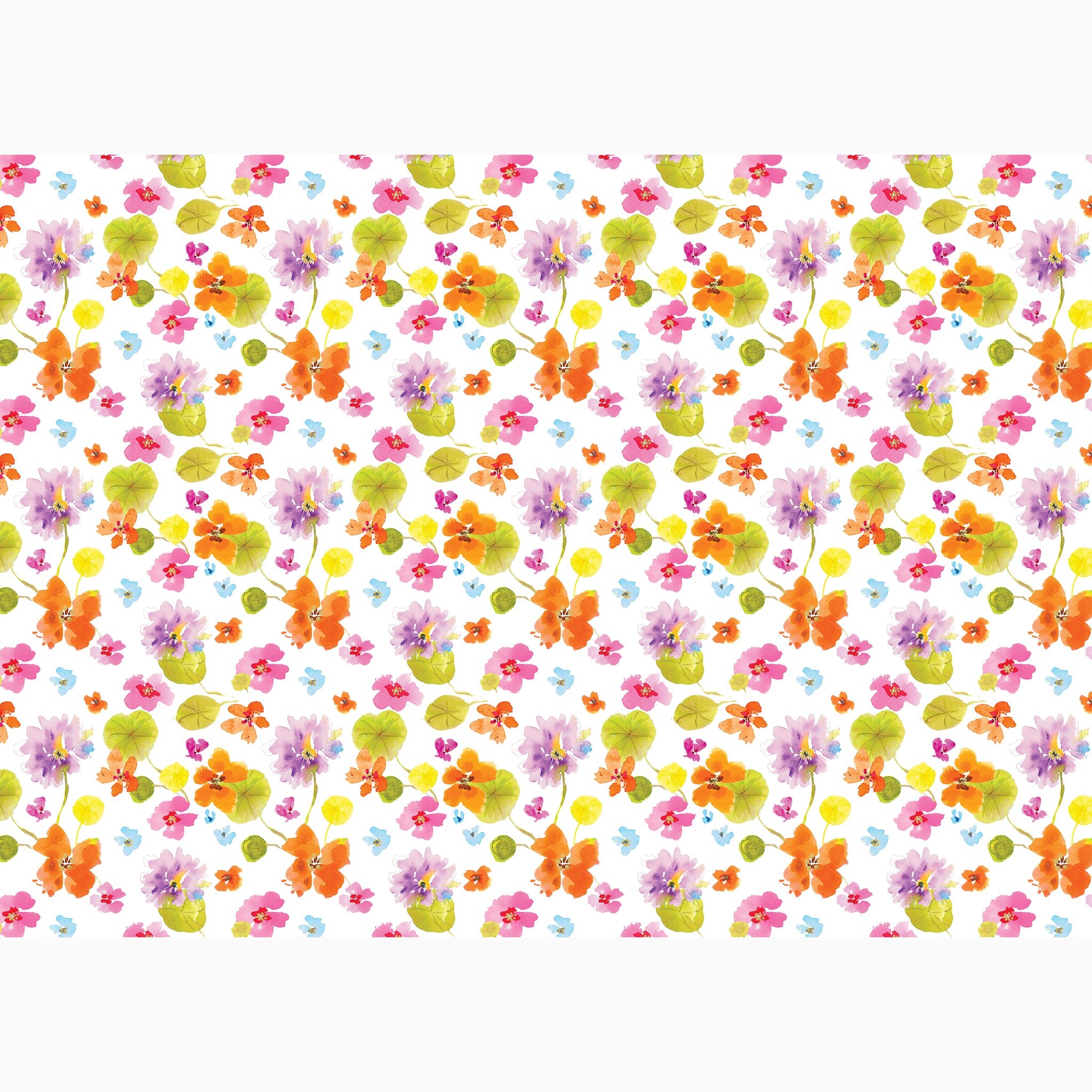 Wrapping Paper-GWP128 - Nasturtium Wrap-Whistlefish