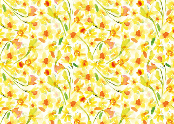 Wrapping Paper - GWP13 - Watercolour Daffodils Wrapping Paper - Watercolour Daffodils Wrapping Paper - Whistlefish