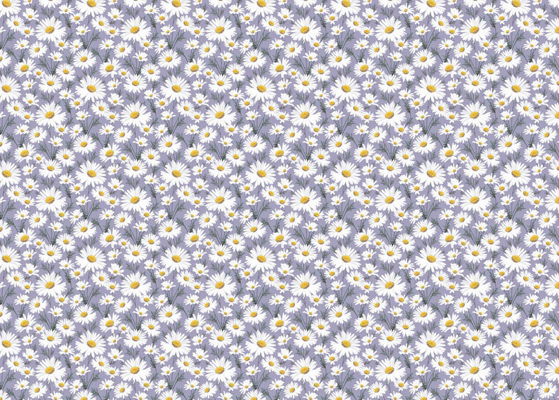 Wrapping Paper - GWP18 - Oxeye Daisy Wrapping Paper - Giant Daisy Wrapping Paper - Whistlefish