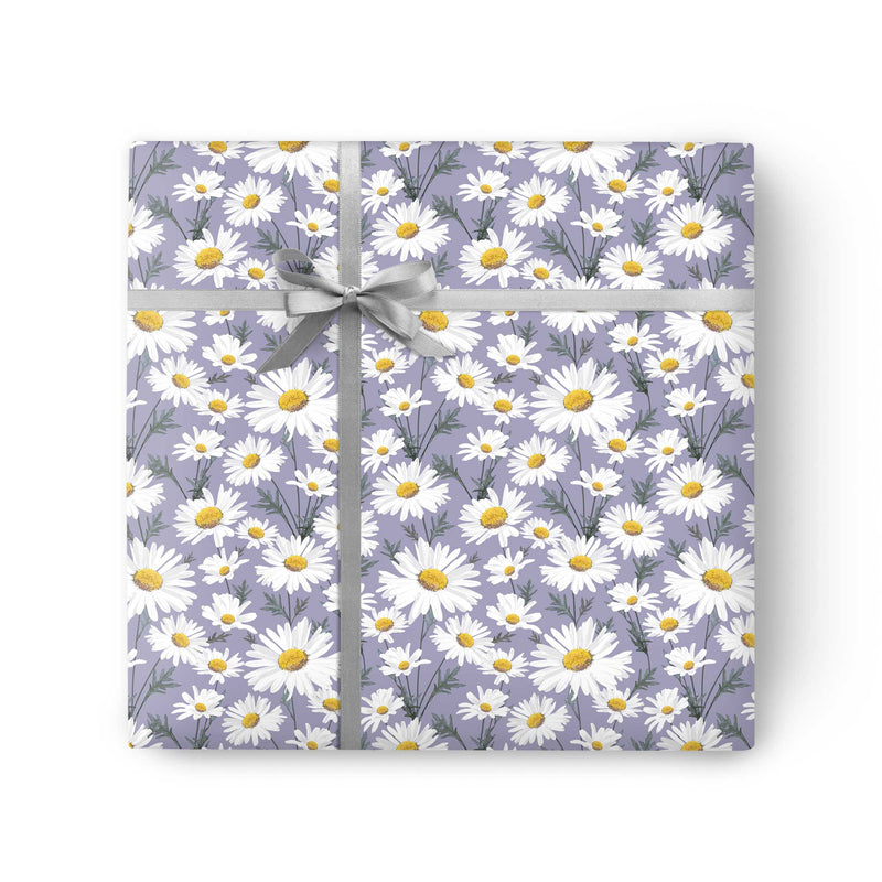 Wrapping Paper - GWP18 - Oxeye Daisy Wrapping Paper - Giant Daisy Wrapping Paper - Whistlefish