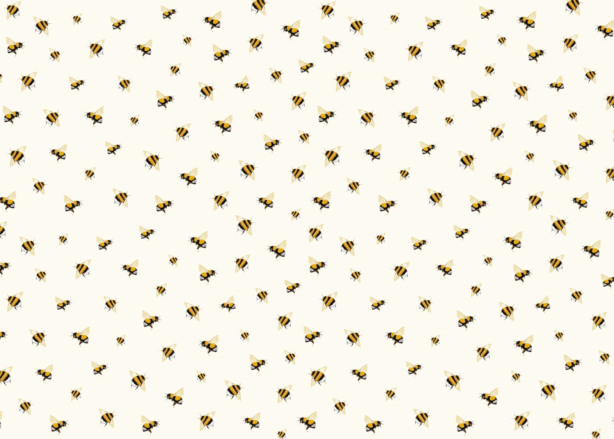 Wrapping Paper - GWP43 - Humble Bumbles Wrapping Paper - Humble Bumbles Wrapping Paper - Whistlefish