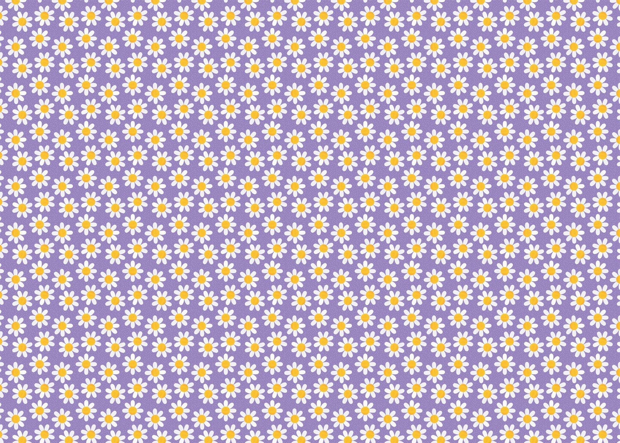 Wrapping Paper - GWP64 - Purple Daisy Wrapping Paper - Purple Daisy Wrapping Paper - Whistlefish