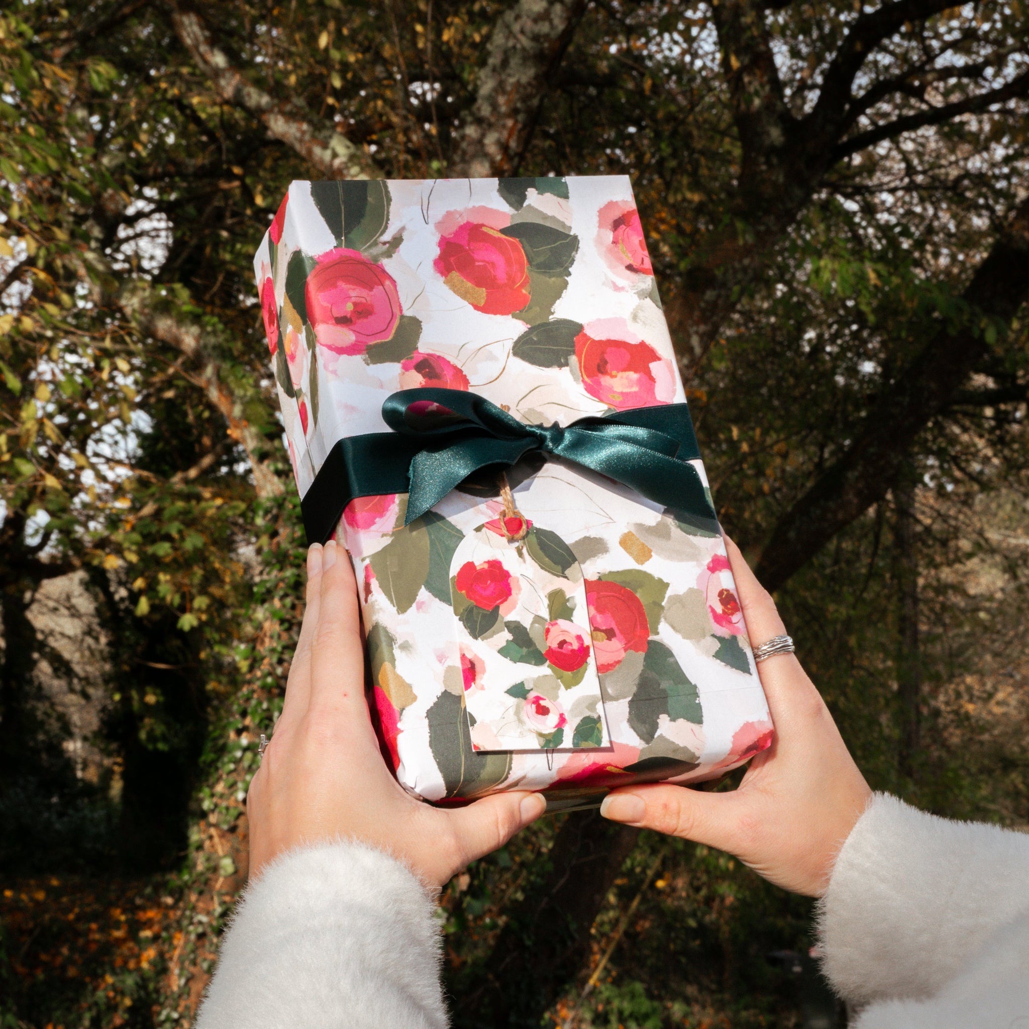 Wrapping Paper - GWP78 - Light Winter Camellia Wrapping Paper - Winter Camellia Light Wrapping Paper - Whistlefish