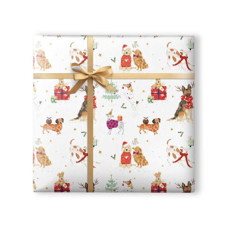 Wrapping Paper - WWX302 - Tale Animals Wrapping Paper - 