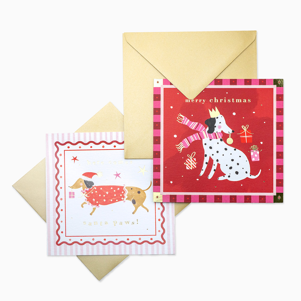 Christmas Card Pack-XPK26-005 - Santa Paws Party Christmas Card Pack-Whistlefish