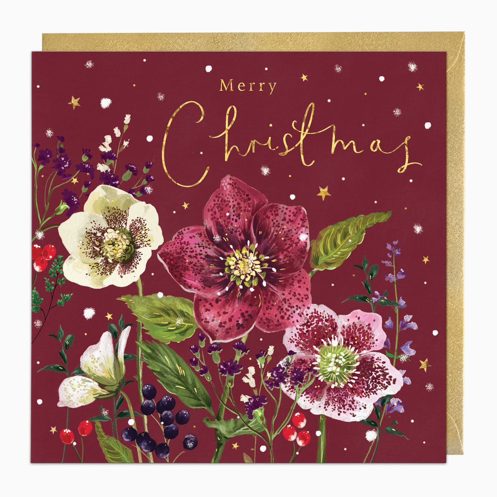 ZA004 - Winter Hellebores Christmas Card