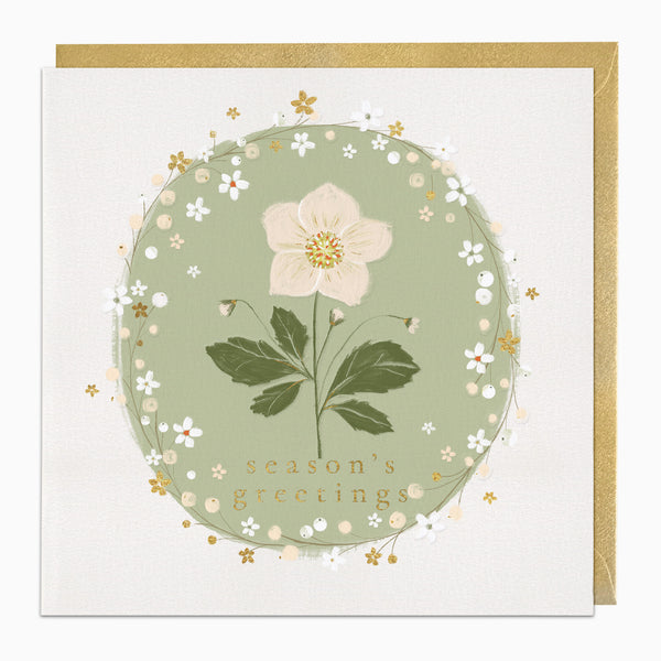 ZA042 - Hellebore Greetings Christmas Card